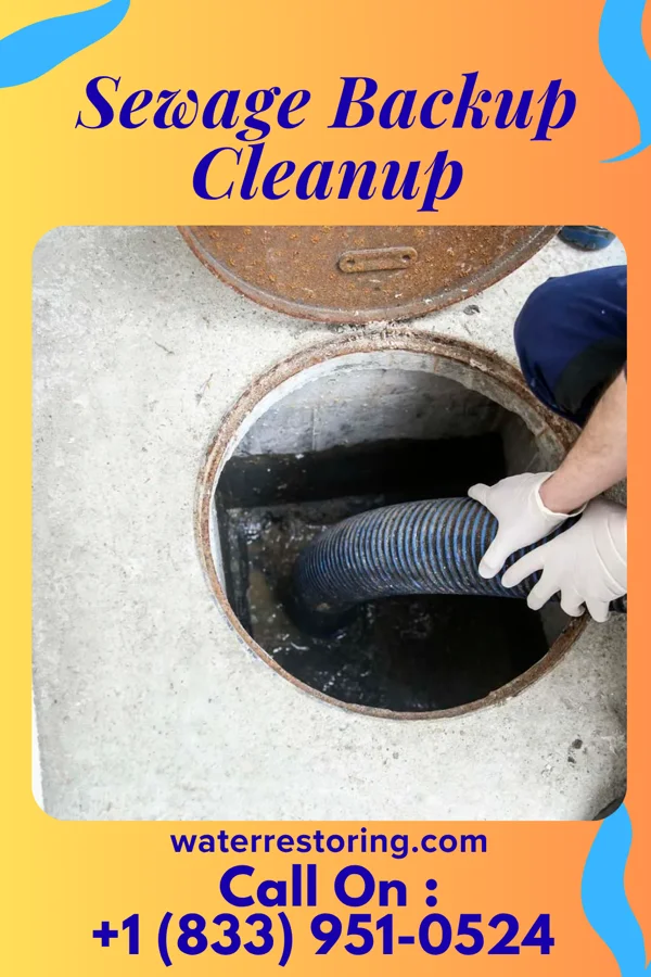 Sewage Backup Cleanup in Catahoula, LA